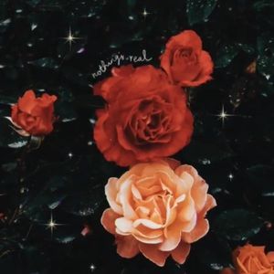 Meet your Posher, Camille